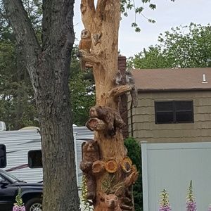 Meet your Posher, Irma